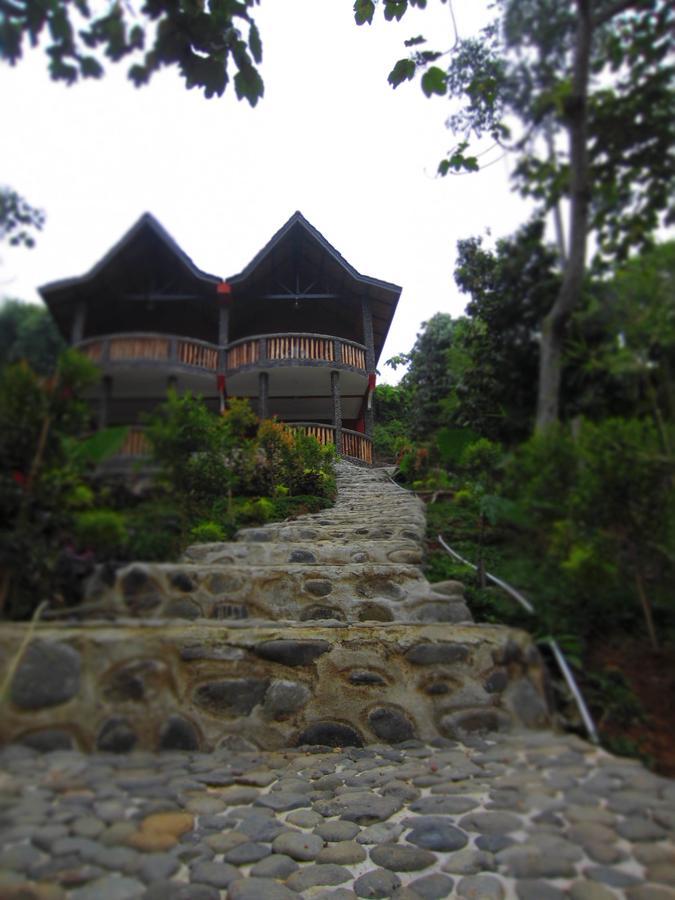 Hotel Orangutan Bukit Lawang Exterior foto