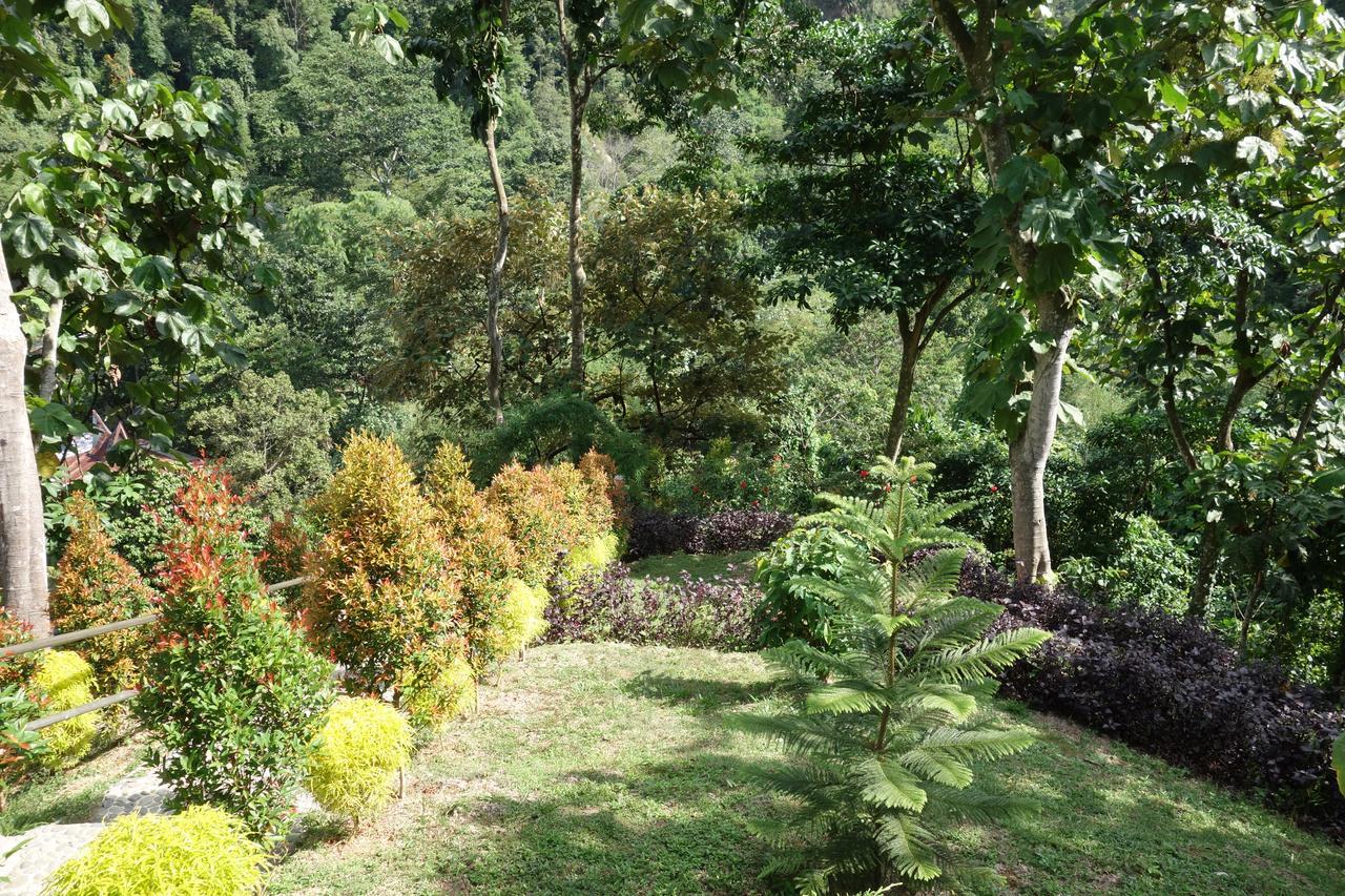 Hotel Orangutan Bukit Lawang Exterior foto