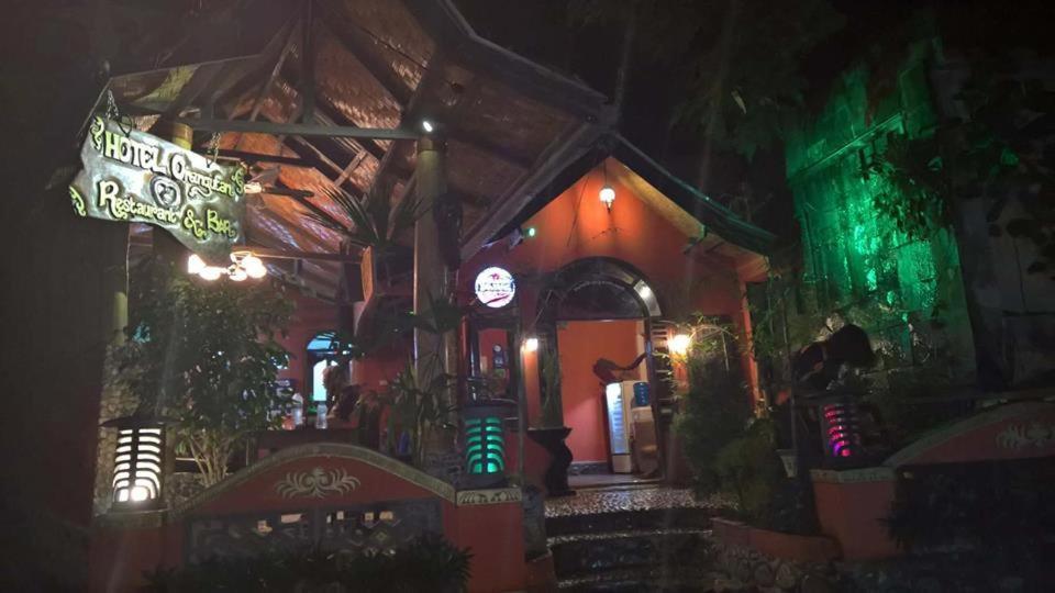Hotel Orangutan Bukit Lawang Exterior foto